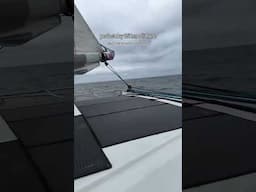 Calm but steady ⛵️ we do not have a grill on ForTuna (our own sailboat) but after using it on