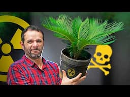 CUIDADO! Essa PLANTA é VENENO pro seu CACHORRO!