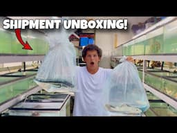 Buying My First MONSTER FISH Shipment (Unboxing)