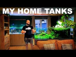 180 Days Living With Big Tanks (Have I Succeeded?)