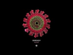 Gorovich - Inside