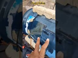 umpan legend untuk target ikan babon #fishing #mancing #umpanterbaik #uqi2017