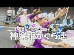【阿波踊り2025】神楽坂かぐら連 流し踊り in 堀切かつしか菖蒲まつり｜Kagurazaka Kaguraren Awa Odori Performance  （2025.6.8）