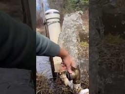 RAM PUMP - automatic, no motor, no electricity, 24/7! #offgrid