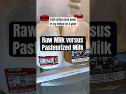 Raw milk and pasteurized milk after one year. #rawmilk #milk #bacteria #experiment