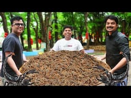 SCORPION CHILLI | Yummy Scorpion Fry Recipe | Cooking In China