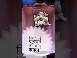 দিব্যশীর মাশরুম পছন্দ, তার আগের প্রস্তুতি আমরা যেভাবে মাশরুম পরিষ্কার করি
