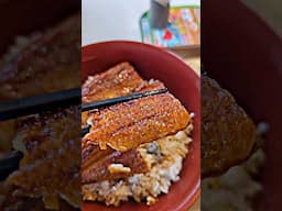 Savoring the Delights of Eel Bowl An Unforgettable Unadon Experience! #food #foodie #unagi #jp