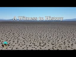 Journey to King Clone: A Desert Time Machine