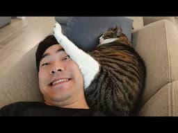 The cat owns the house 😸 You're just the staff with the bills!