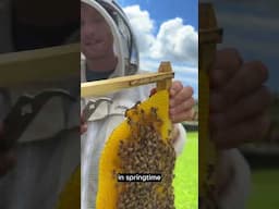 What is a Queen Cup?