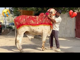 AKHRI MULAKAAT 😭 LAST DAY 💔 | SYED FAHAD