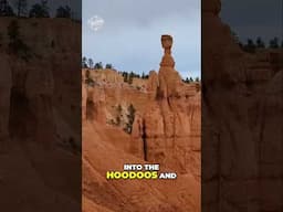Bryce Canyon's Best Hike: Queen's Garden & Navajo Loop! 🥾
