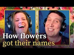 Which flower makes you wet the bed? | FLOWER NAME ORIGINS