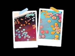 #2238 Incredible Cells In This Acrylic Pour Swipe