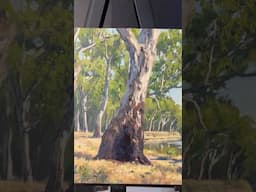 Painting Gum Trees in Oils #artreveal #painting #landscapepainting