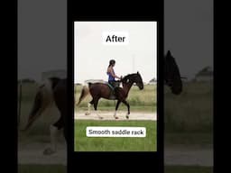 This horse came pretty pacey, after 12 rides, he started to move so beautifullly!!!