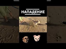 Нападение