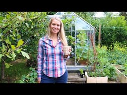 Greenhouse Gardening Guide for Abundant Crops and Healthy Plants