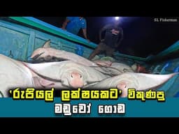 "Rare Stingray Harvest: Rs. 100,000 Worth of Ocean Treasure | SL Fisherman
