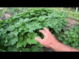 Garden Tour May 2025