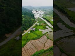 Meghalaya in monsoon #travel #roadtrip #dronevideo #road