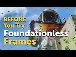 FOUNDATIONLESS BEEKEEPING | How-to, Benefits, Downside & Why I Do It