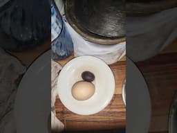 The egg and bitter kola work is superb.#spirituality