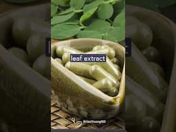 The Truth About Moringa and Weight Loss