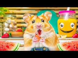 Hamster Escapes the Giant Birthday Cake Maze | Hamster Maze