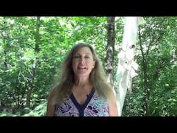About Home Herbalism and the Home Herb School