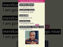 I am Going to DO SOMETHING Phrases in Twi | #akan #twi #learnakan #learntwi