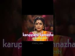 Karuppana Kannazhaki ( slowed + reverb ) | abhy vibe