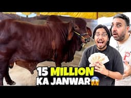 1.5 Crore Ka Janwar 😱 | Mandi Ka Sabse Mehnga Janwar