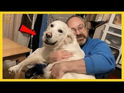 🐕🧑These Dogs Weren’t Wanted… Until They Became Dad’s Favorite Child