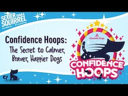 Confidence Hoops: The Secret to Calmer, Braver, Happier Dogs