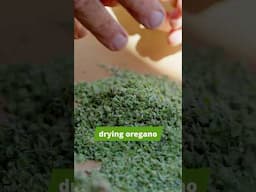 Get More Use Out Of Your Herbs. #oregano