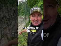 Amazing fish pass! Watch the full video via the on screen link #RiverSevern #HoltFishPass #Salmon