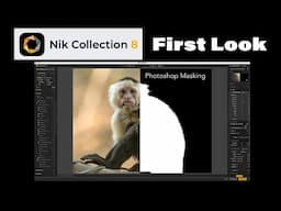 NIK COLLECTION 8 (FIRST LOOK) Now with Photoshop Mask Integration