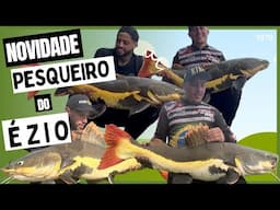NOVIDADE! PESQUEIRO DO EZIO e as PIRARARAS GIGANTES - Fishingtur 1070