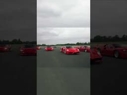Effortless Vibes with Corsa Cavallino! 🥰 #F50 #F40 #FerrariEnzo #250SWB