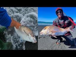 Wellington Surfcasting Early Season - March 2025