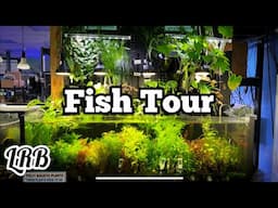 Aquarium Store Tour | Nature Aquariums LRB