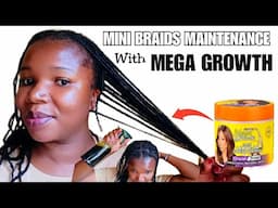 Mini Braids Hair Growth Routine with Mega Growth | Moisturize, Seal & Retain Length
