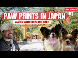 (Live) Walks with Dogs and Chat in Japan #1: Kawaguchi Neighborhood Walk