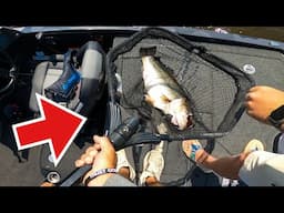 That’s a GIANT!! Subscriber Joins Me!