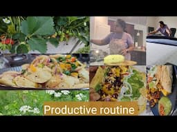 Daily Routine life in USA| Strawberries are ready| Quinoa Idli fry, easy Quick Paneer Tikka Rolls