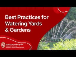 Best Practices for Watering Yards & Gardens