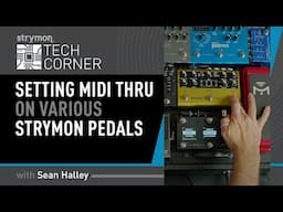 Strymon Tech Corner: Setting MIDI Thru On Strymon Pedals