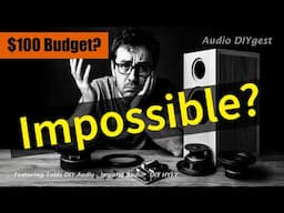 The $100 DIY speaker challenge, is it even possible?